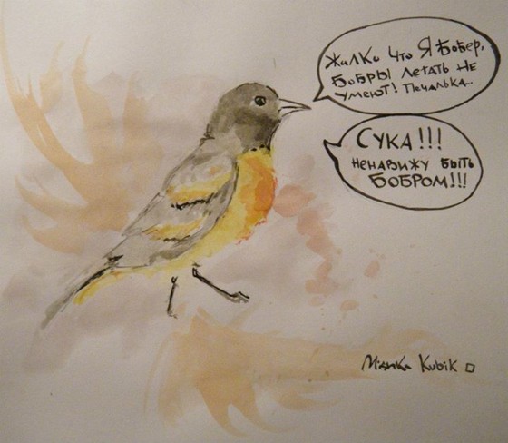 Paintings: watercolors